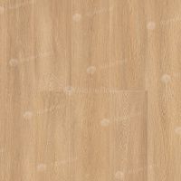 SPC ламинат Alpine Floor Intense Бурый Лес ЕСО 9-3