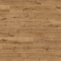 Ламинат Haro Daily Edition 8 мм Дуб Калла Натур 541346