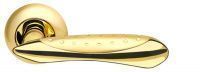 Ручка дверная Armadillo Corvus LD35-1SG/GP-4