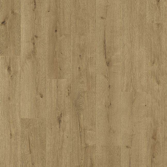 Ламинат Balterio Traditions Лесной Дуб 019 Ламинат Balterio Traditions Лесной Дуб 019