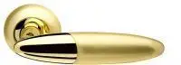 Ручка дверная Armadillo Sfera LD55-1SG/GP-4