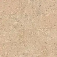 Пробковые покрытия Wicanders Cork Essence P802 Personality Timide P802002