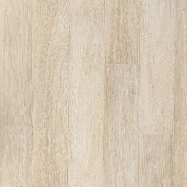 Ламинат Kastamonu Black Дуб Горный Светлый FP51