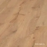 Ламинат Haro Tritty 100 Дуб Альпийский Натур 542069