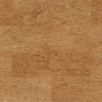 Пробковые покрытия Wicanders Cork Pure DN20003 Originals SYMPHONY AJAJ004