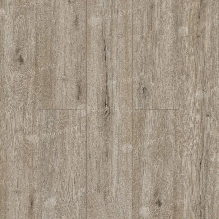 SPC ламинат Alpine Floor Solo Прэсто ЕСО 14-8