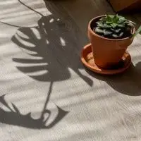 Кварцвиниловая плитка Vinilam Vinilam Clcik 3,7 мм Дуб Ален (Rich) 20468 3,7 мм