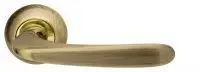 Ручка дверная Armadillo Pava LD42-1AB/GP-7