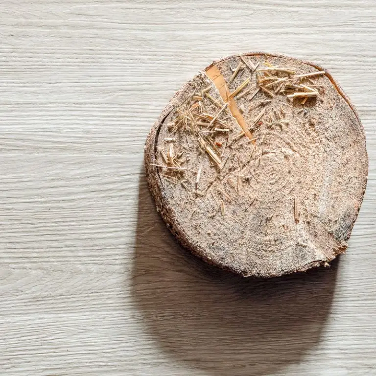 Кварцвиниловая плитка Vinilam Vinilam Glue 2,5 мм Дуб Штур 8855 2,5 мм Кварцвиниловая плитка Vinilam Vinilam Glue 2,5 мм Дуб Штур 8855 2,5 мм